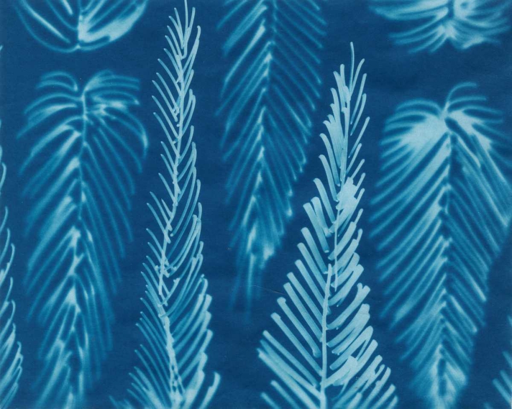 Wall Art Painting id:38788, Name: Cyanotype No.8, Artist: Stramel, Renee W.