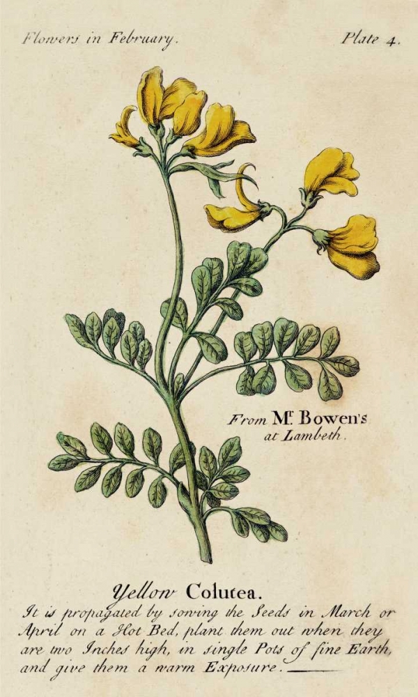 Similar wall art painting: 38800