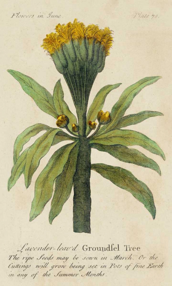 Similar wall art painting: 38803