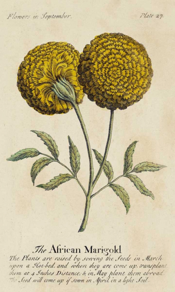 Similar wall art painting: 38804