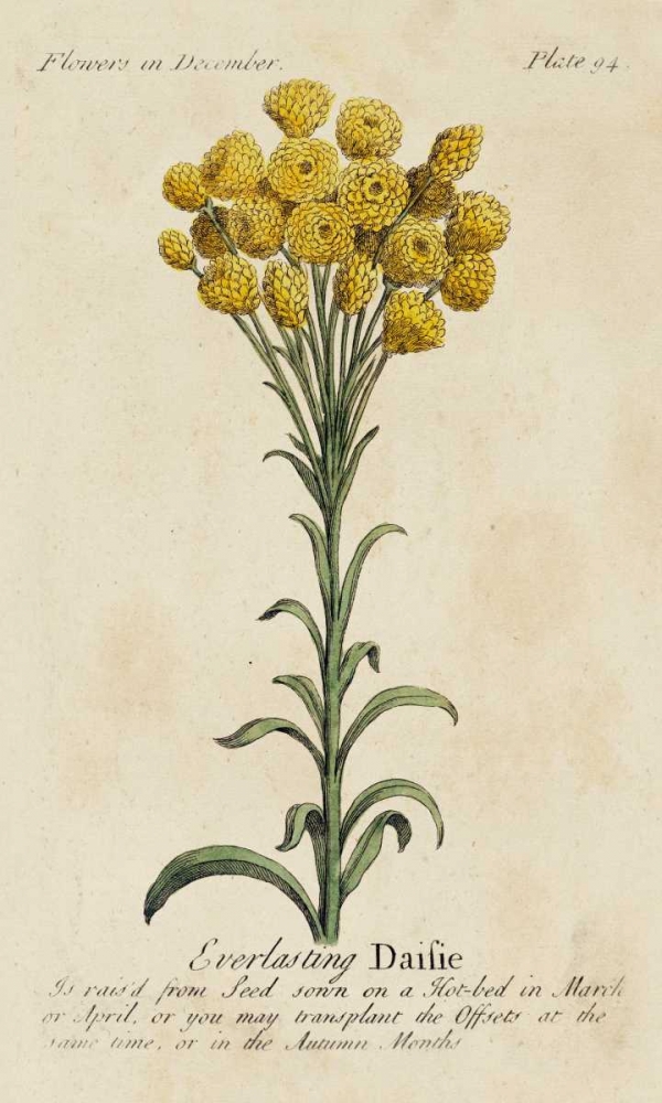 Similar wall art painting: 38807