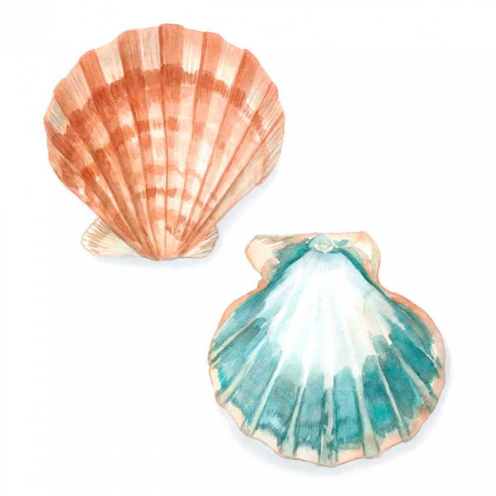 Wall Art Painting id:50480, Name: Watercolor Shells I, Artist: Meagher, Megan