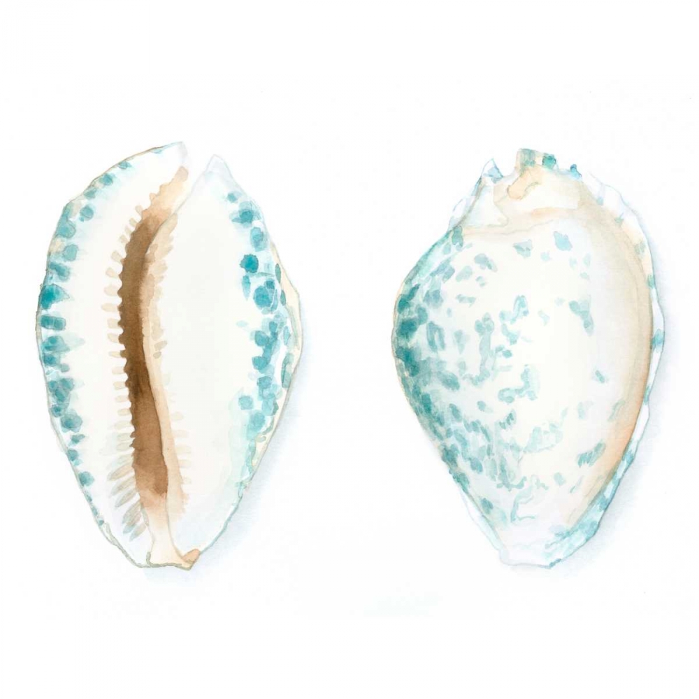 Wall Art Painting id:50485, Name: Watercolor Shells VI, Artist: Meagher, Megan