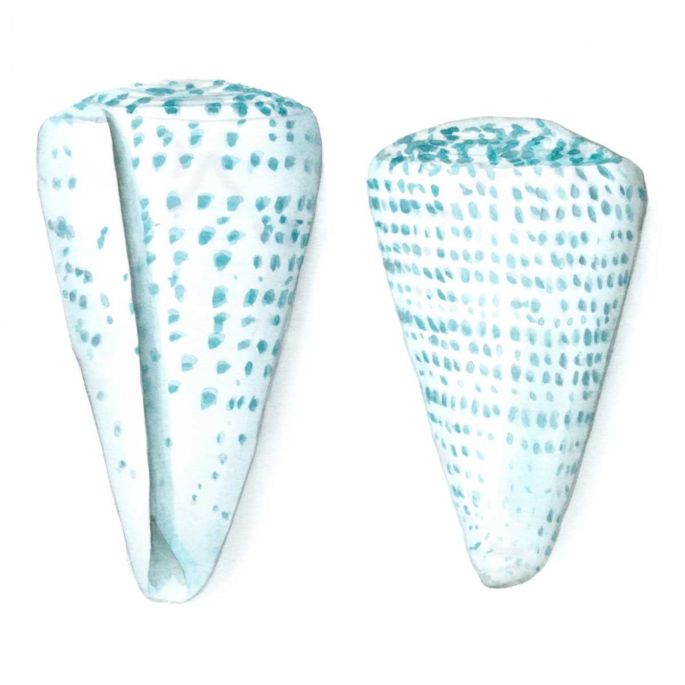 Wall Art Painting id:50487, Name: Watercolor Shells VIII, Artist: Meagher, Megan