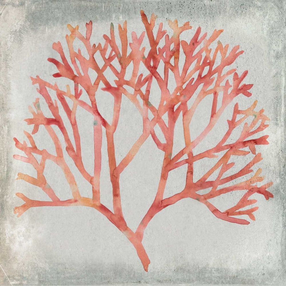 Wall Art Painting id:38910, Name: Watercolor Coral IV, Artist: Meagher, Megan
