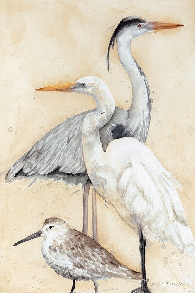 Wall Art Painting id:231150, Name: Watercolor Waterbirds I, Artist: Meagher, Megan