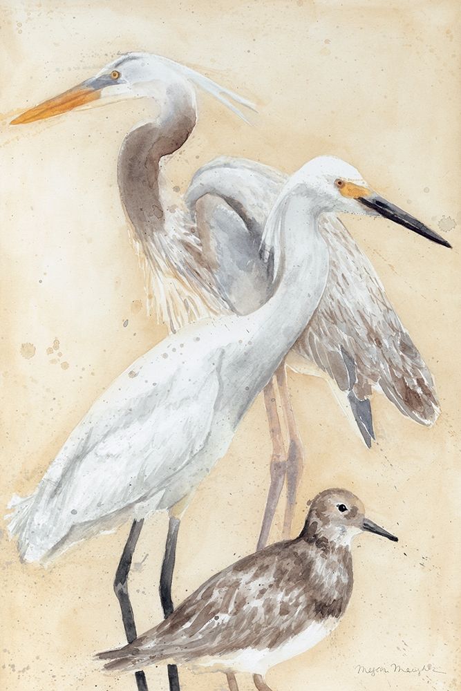 Wall Art Painting id:231151, Name: Watercolor Waterbirds II, Artist: Meagher, Megan