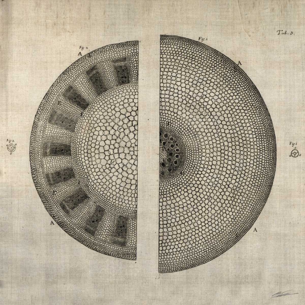 Similar wall art painting: 50403