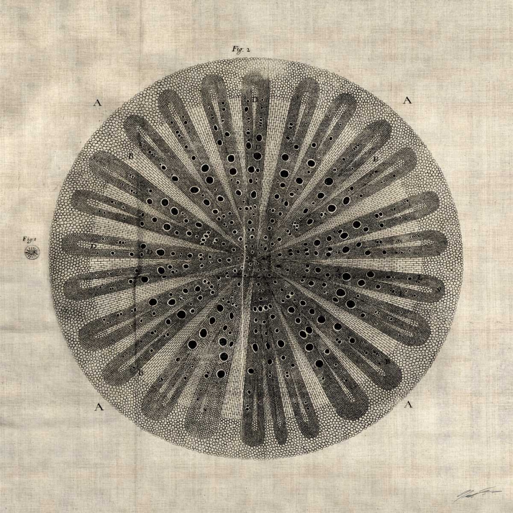 Similar wall art painting: 50405