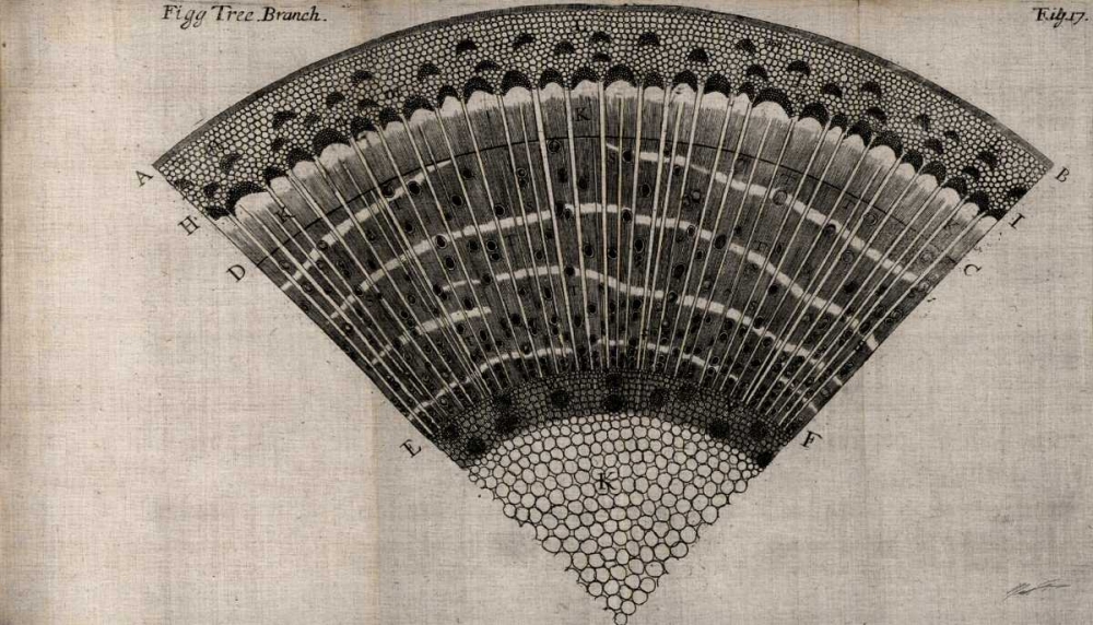 Similar wall art painting: 50408