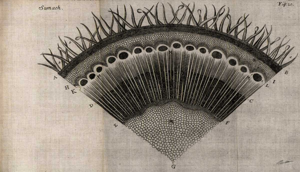 Similar wall art painting: 50409