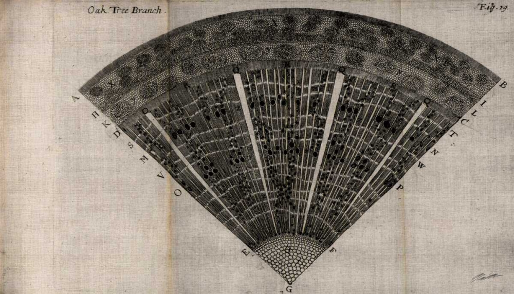 Similar wall art painting: 50410