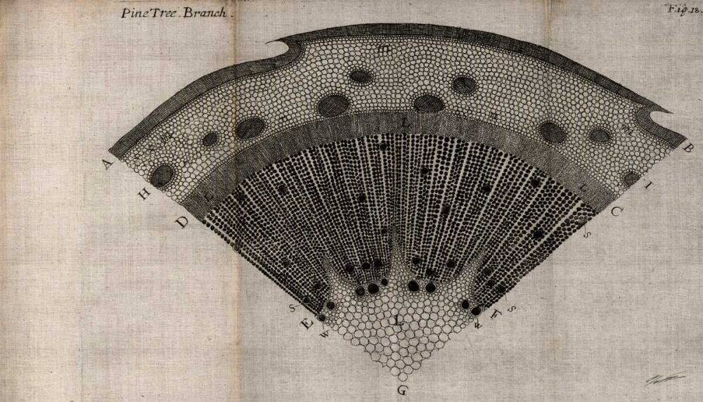 Similar wall art painting: 50411