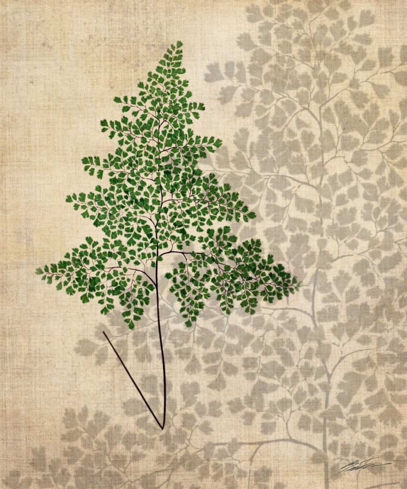 Wall Art Painting id:50397, Name: British Ferns I, Artist: Butler, John