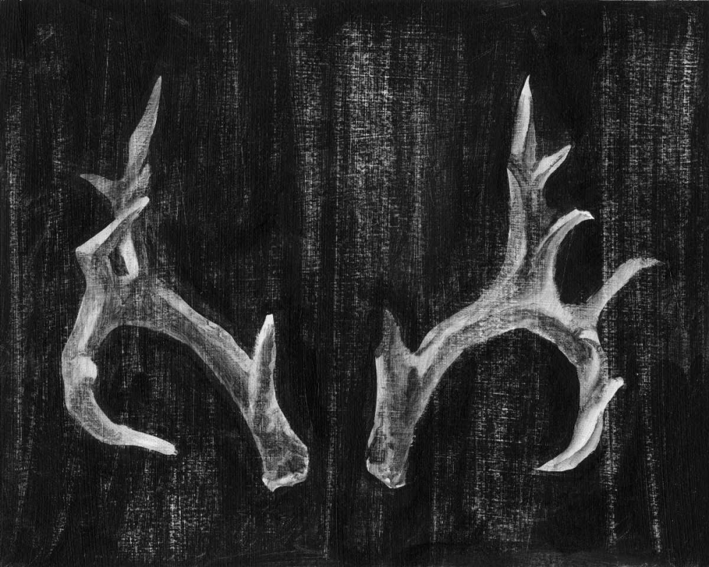 Wall Art Painting id:50310, Name: Rustic Antlers I, Artist: Harper, Ethan