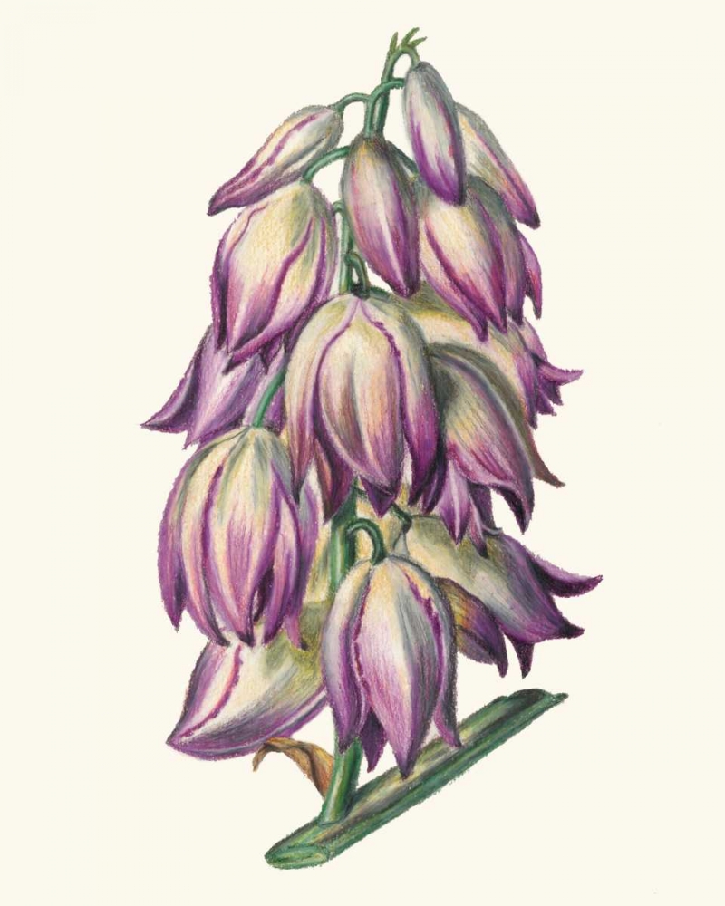 Similar wall art painting: 61069