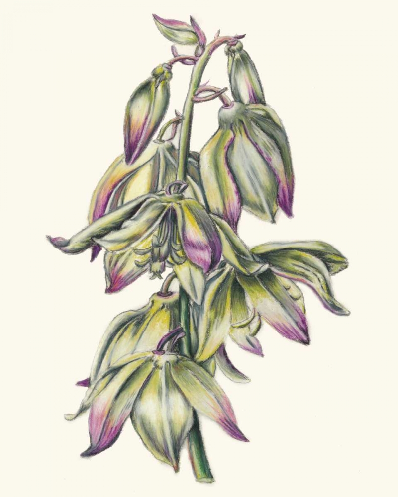 Similar wall art painting: 61070