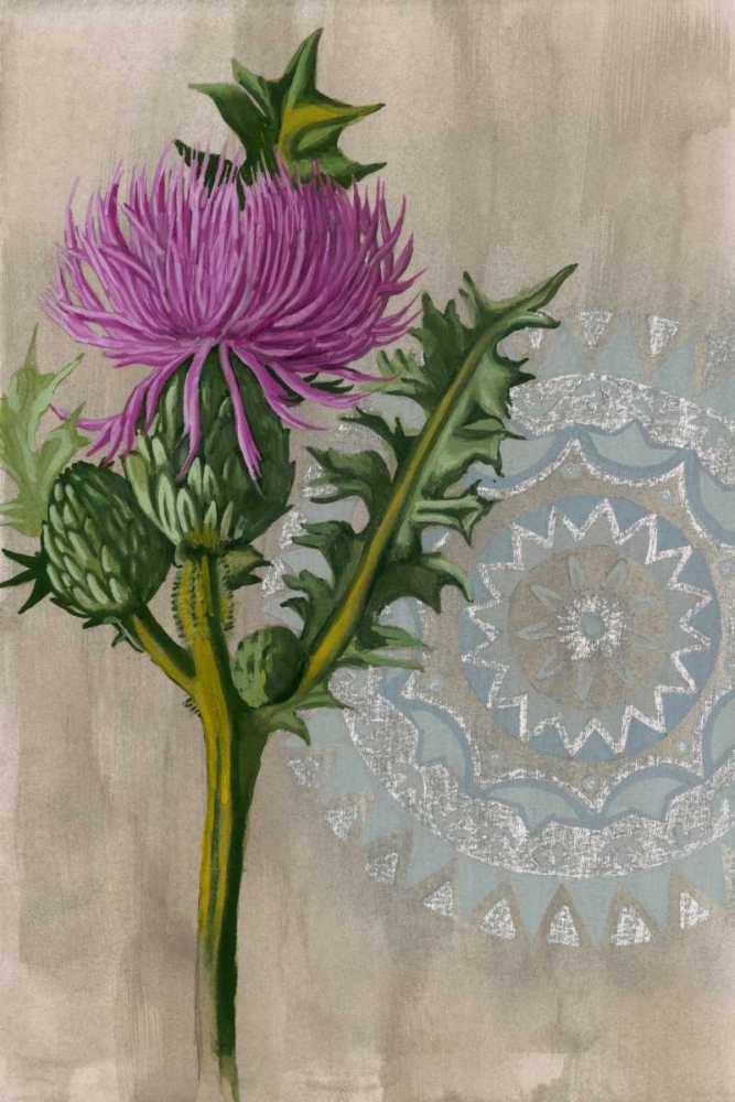 Wall Art Painting id:61125, Name: Bohemian Botanical II, Artist: McCavitt, Naomi