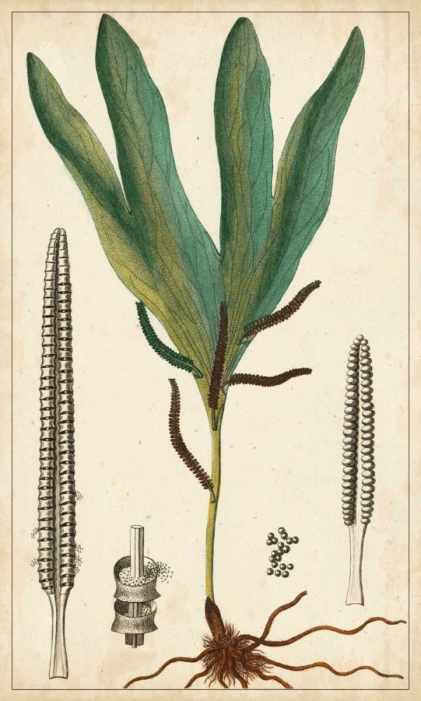 Similar wall art painting: 61239