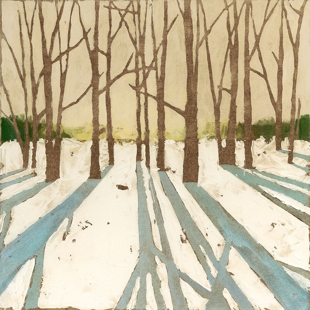 Wall Art Painting id:246432, Name: Winter Shadows II, Artist: Meagher, Megan