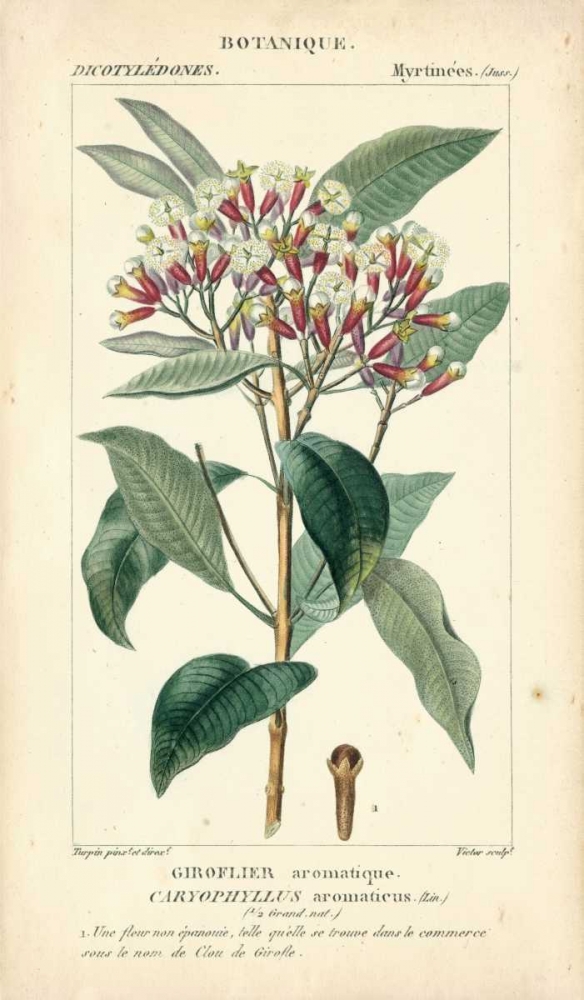 Similar wall art painting: 117738