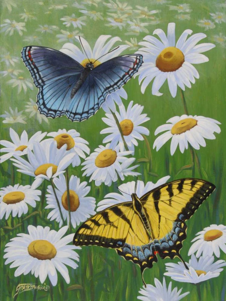 Wall Art Painting id:239447, Name: Butterflies and Daisies, Artist: Szatkowski, Fred