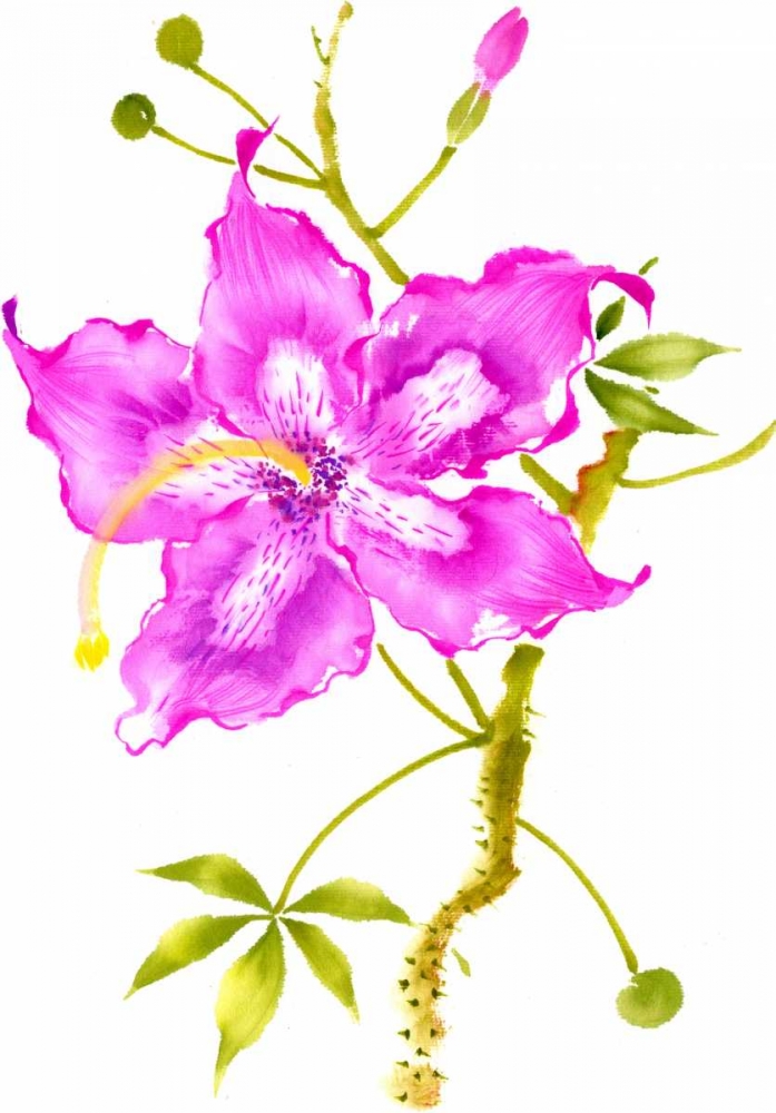 Wall Art Painting id:39112, Name: Hibiscus Flower I, Artist: Rae, Nan