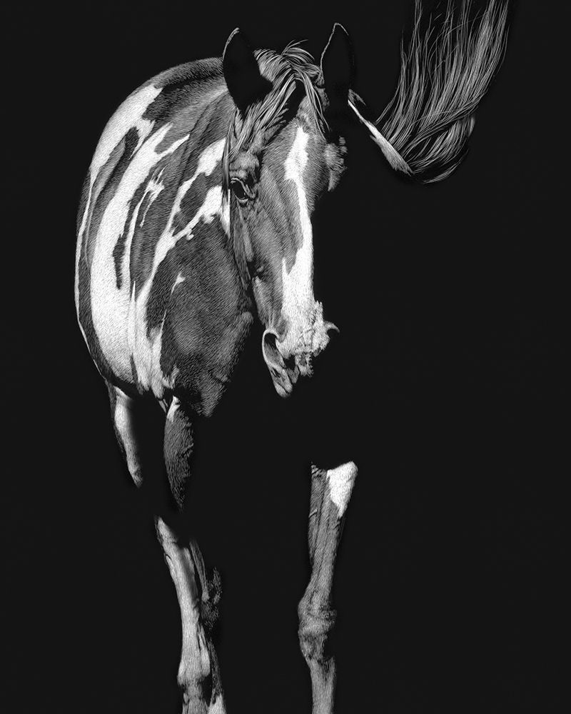 Similar wall art painting: 231182