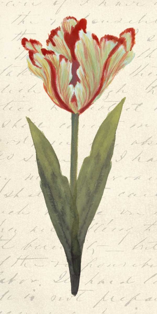 Wall Art Painting id:39245, Name: Twin Tulips I, Artist: Popp, Grace