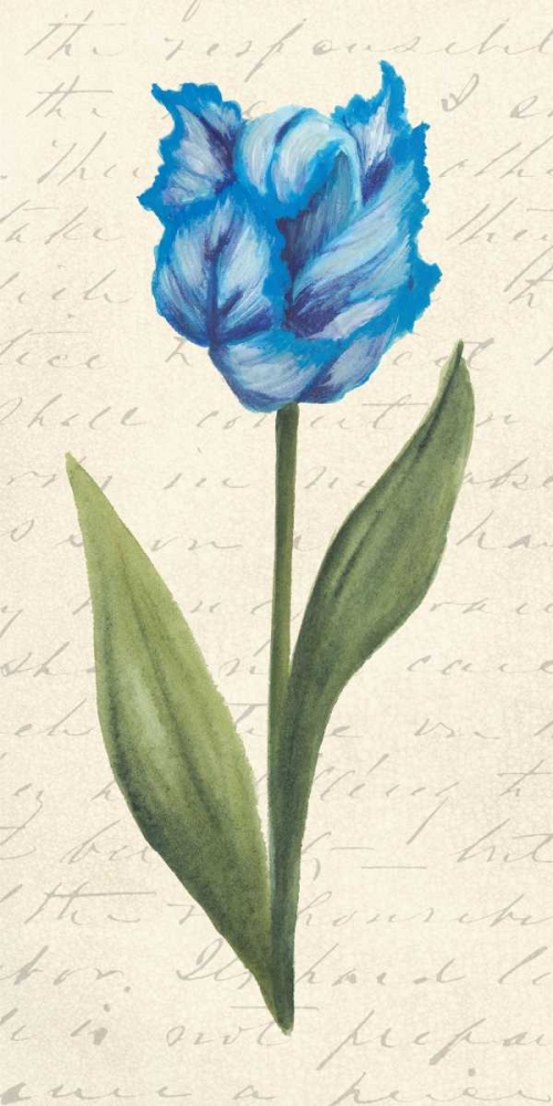 Wall Art Painting id:39248, Name: Twin Tulips IV, Artist: Popp, Grace