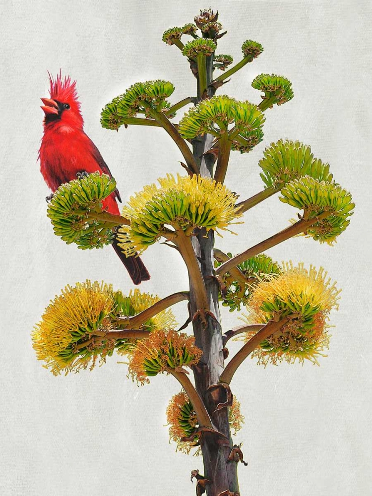 Similar wall art painting: 50431