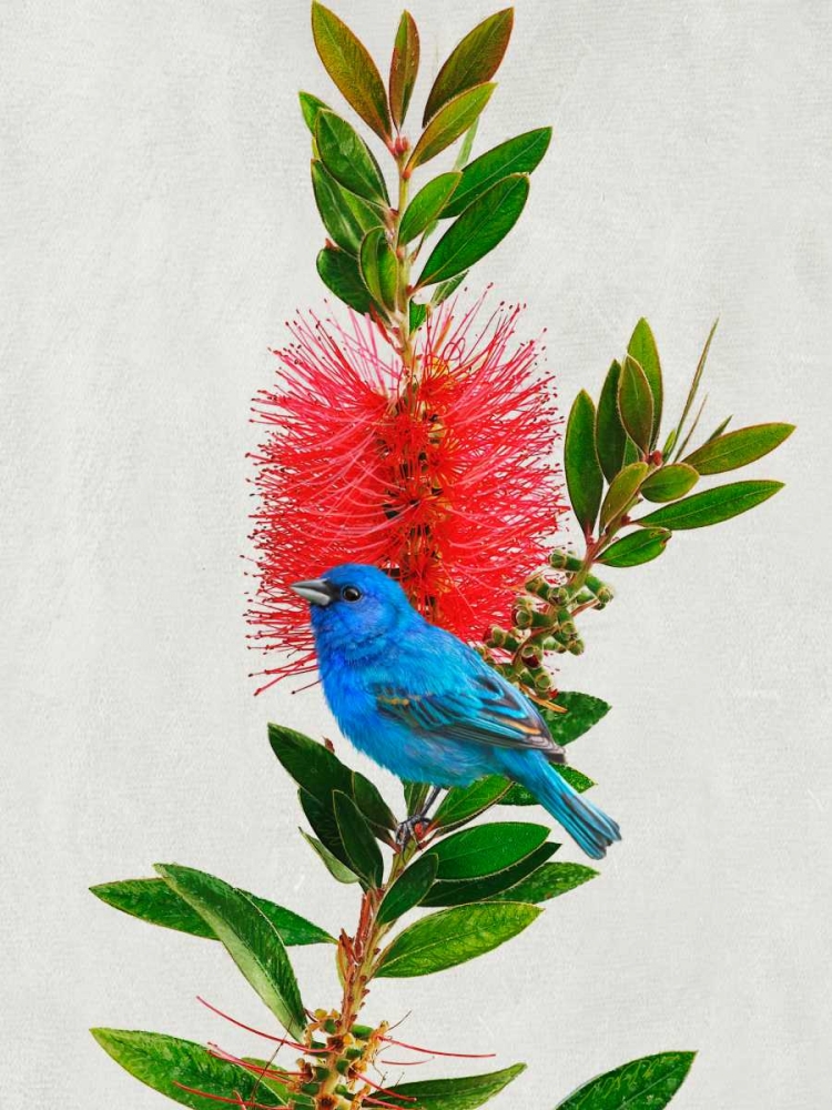 Similar wall art painting: 50433