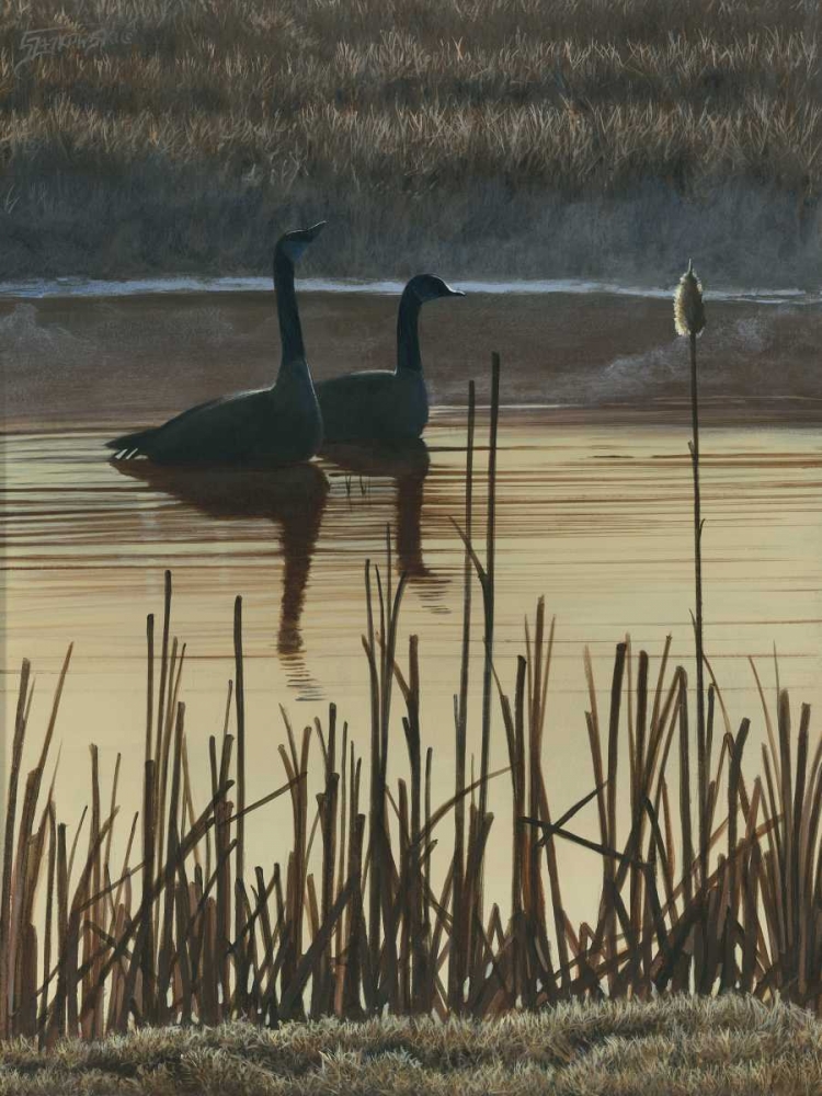 Similar wall art painting: 50507