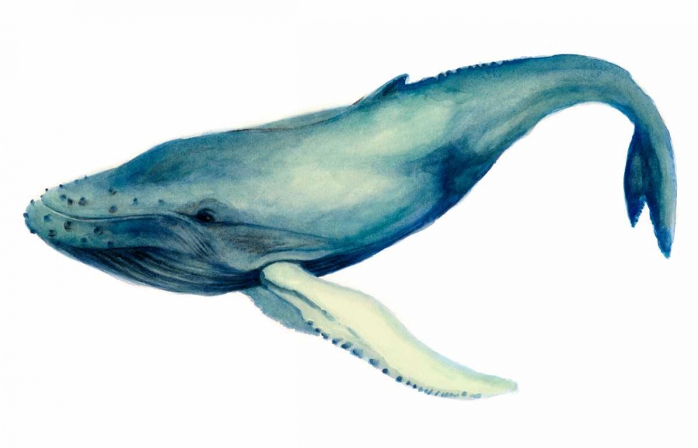 Wall Art Painting id:49941, Name: The Whales Song I, Artist: Popp, Grace