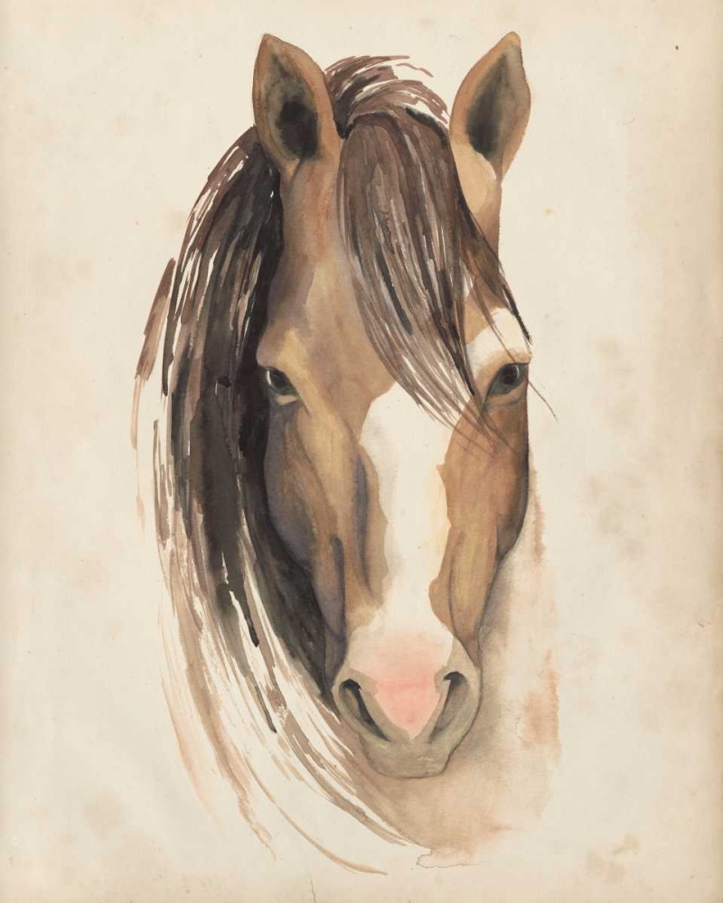 Wall Art Painting id:50355, Name: Watercolor Animal Study V, Artist: Popp, Grace