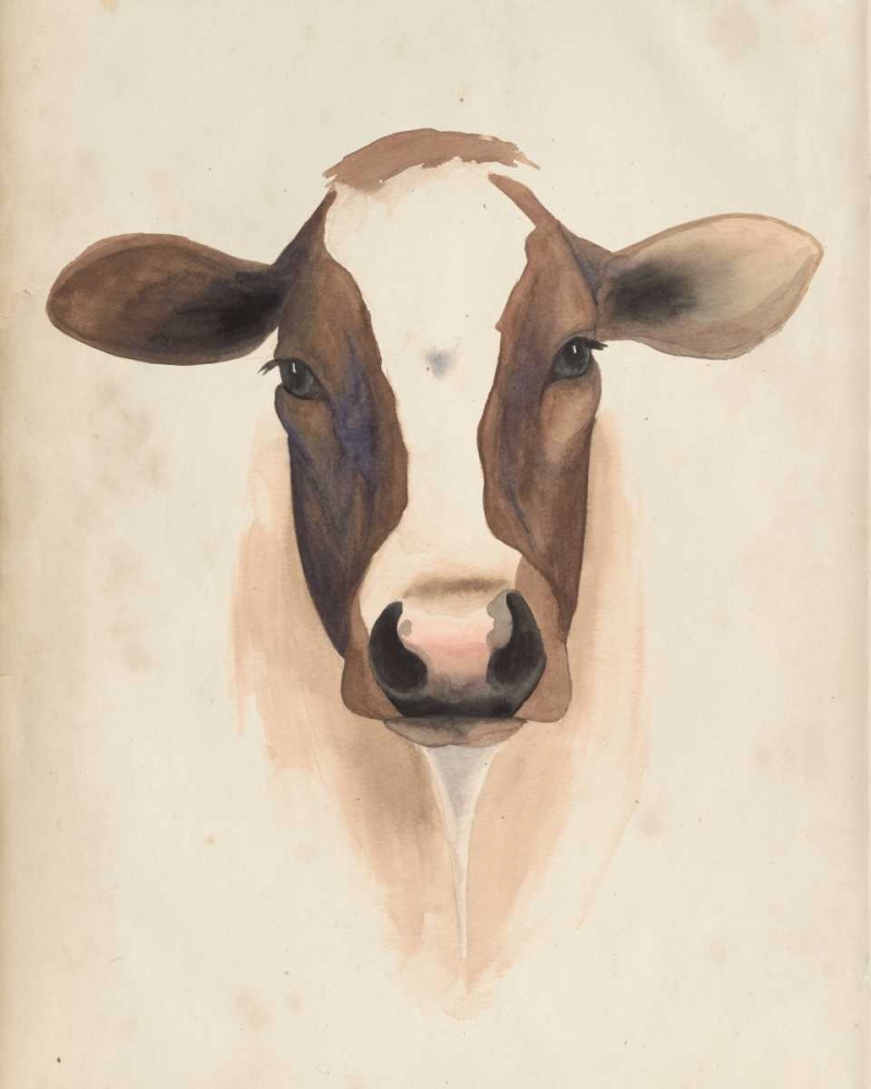 Wall Art Painting id:50344, Name: Watercolor Animal Study VII, Artist: Popp, Grace