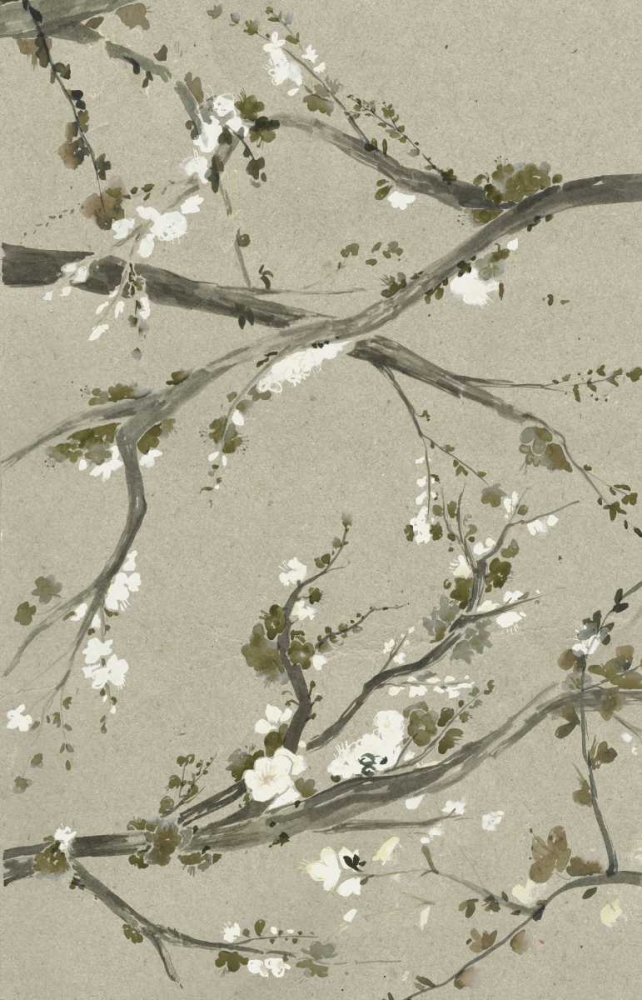Wall Art Painting id:61671, Name: Neutral Cherry Blossoms I, Artist: Popp, Grace