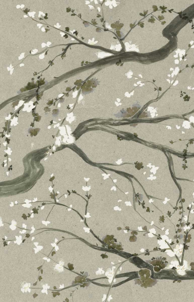 Wall Art Painting id:61672, Name: Neutral Cherry Blossoms II, Artist: Popp, Grace