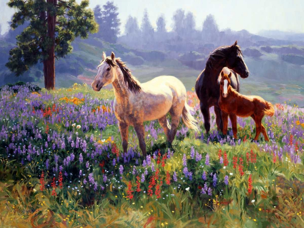 Similar wall art painting: 68669