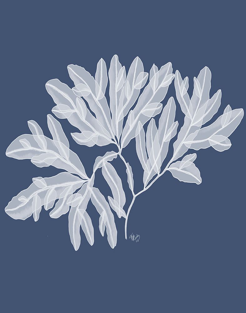 Wall Art Painting id:650353, Name: Seaweed 4 White on Indigo Blue, Artist: Fab Funky