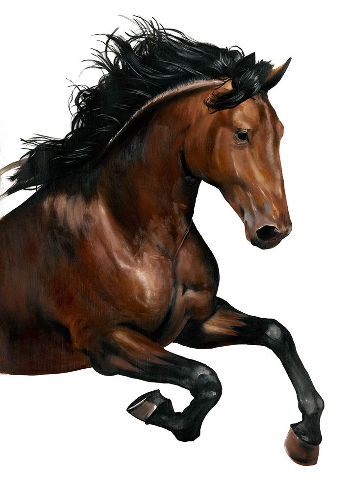 Wall Art Painting id:217220, Name: Brown Horse, Artist: Altamura, Stefano