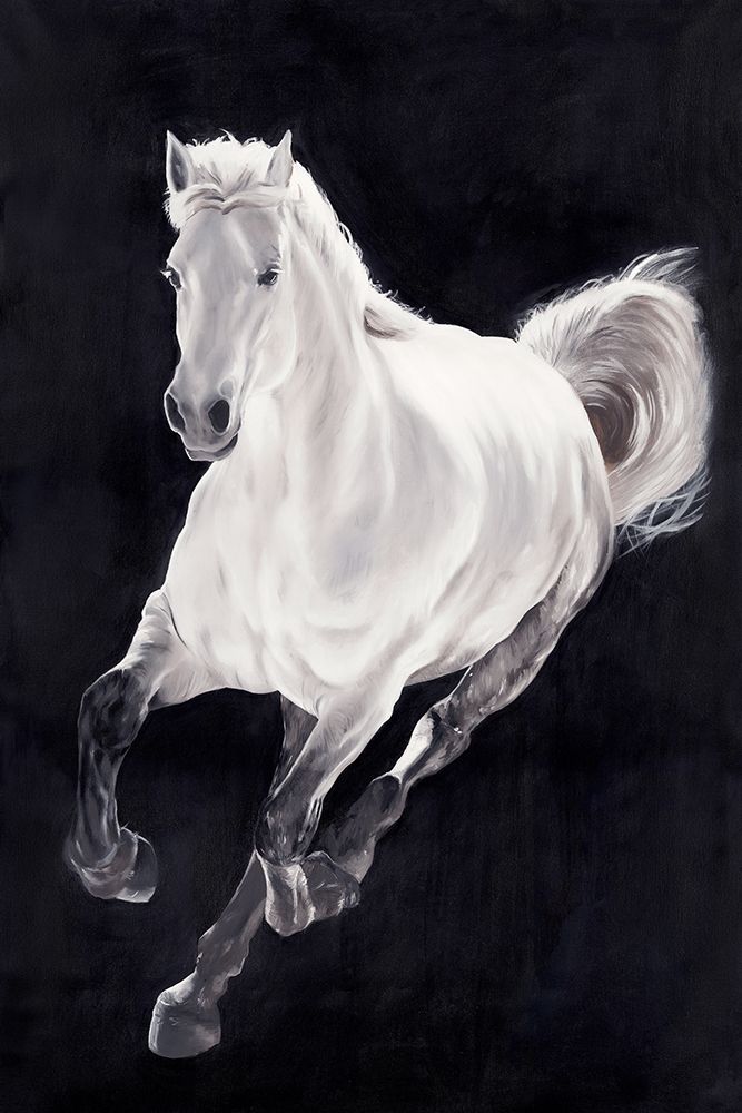 Wall Art Painting id:217221, Name: White Horse, Artist: Altamura, Stefano
