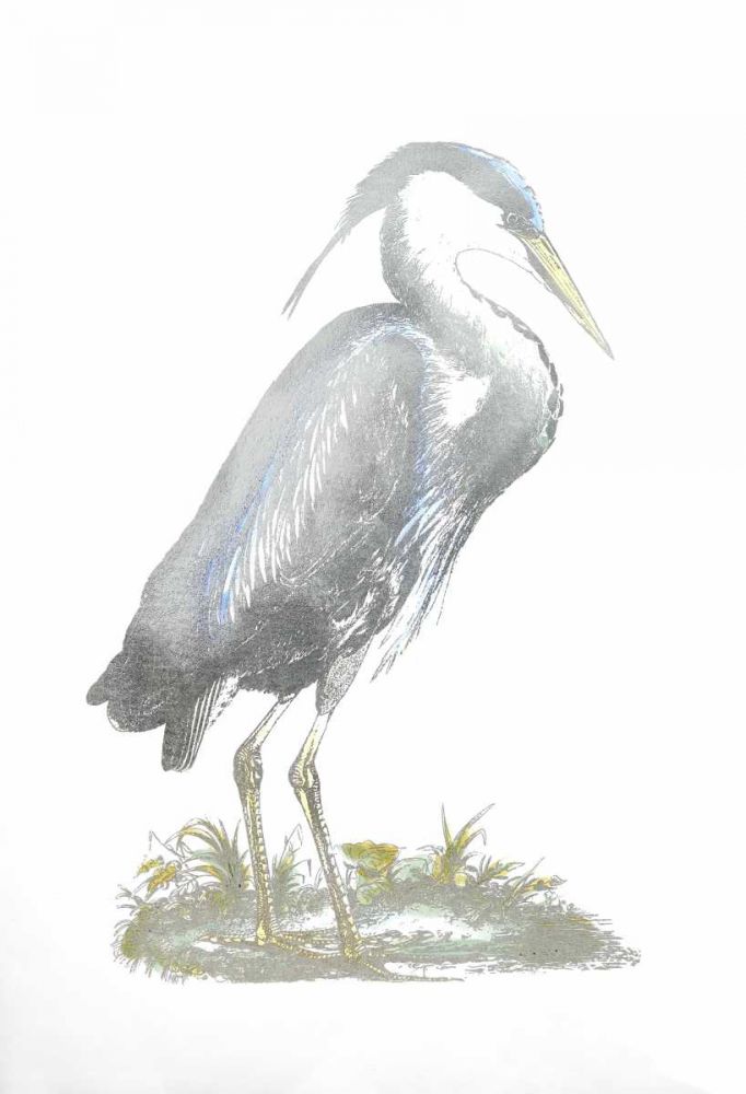 Wall Art Painting id:329040, Name: Silver Foil Heron I with Hand Color, Artist: Selby, John