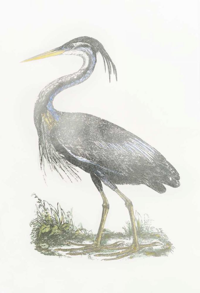 Wall Art Painting id:329041, Name: Silver Foil Heron II with Hand Color, Artist: Selby, John