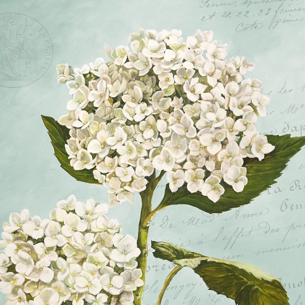 Wall Art Painting id:218518, Name: Hydrangeas II (Aqua), Artist: Dellal, Remy