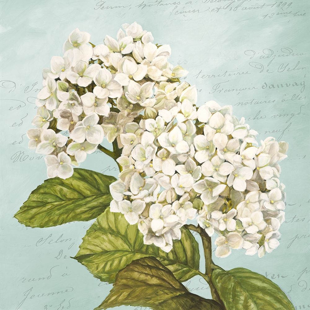 Wall Art Painting id:218519, Name: Hydrangeas III (Aqua), Artist: Dellal, Remy