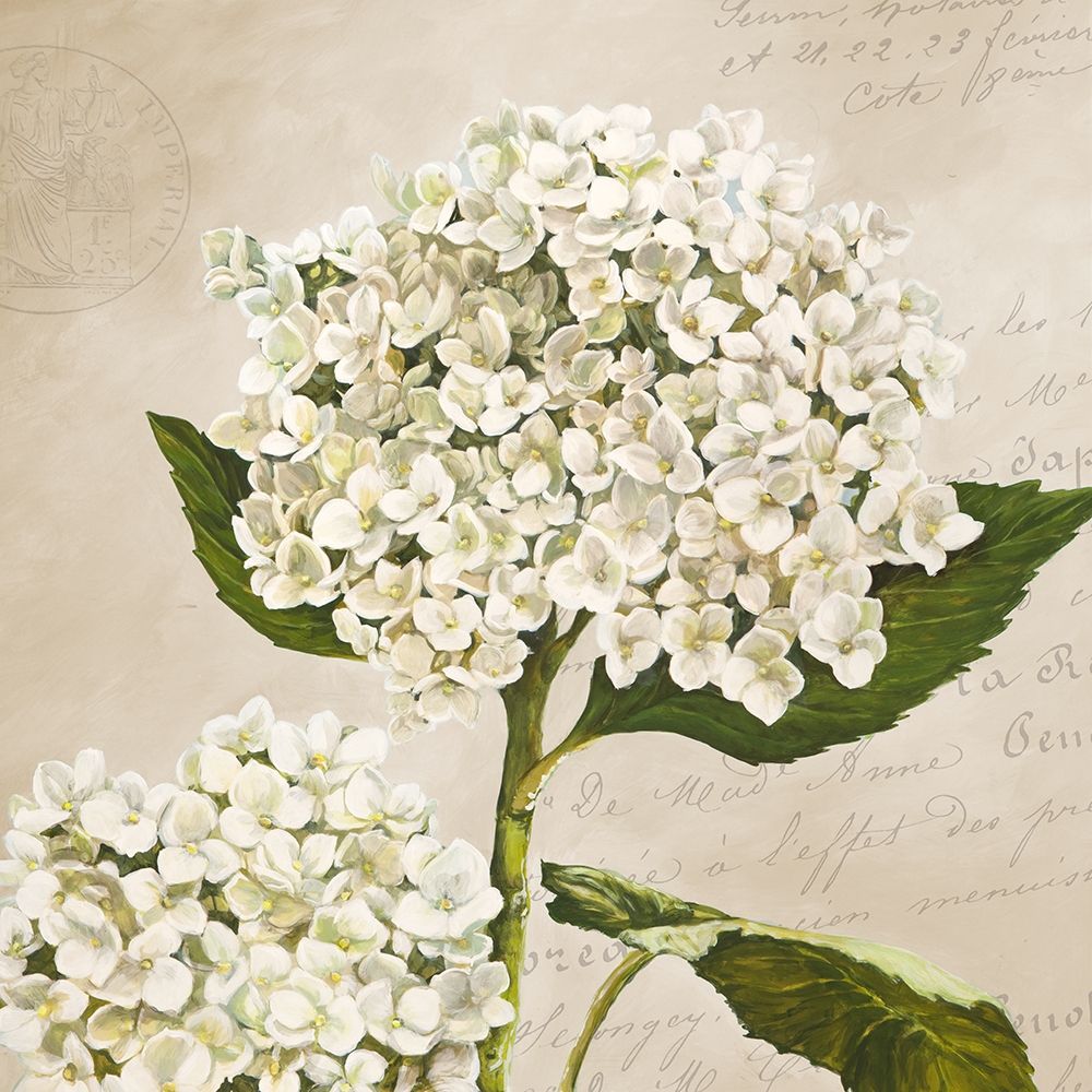 Wall Art Painting id:218520, Name: Hydrangeas II (Neutre), Artist: Dellal, Remy