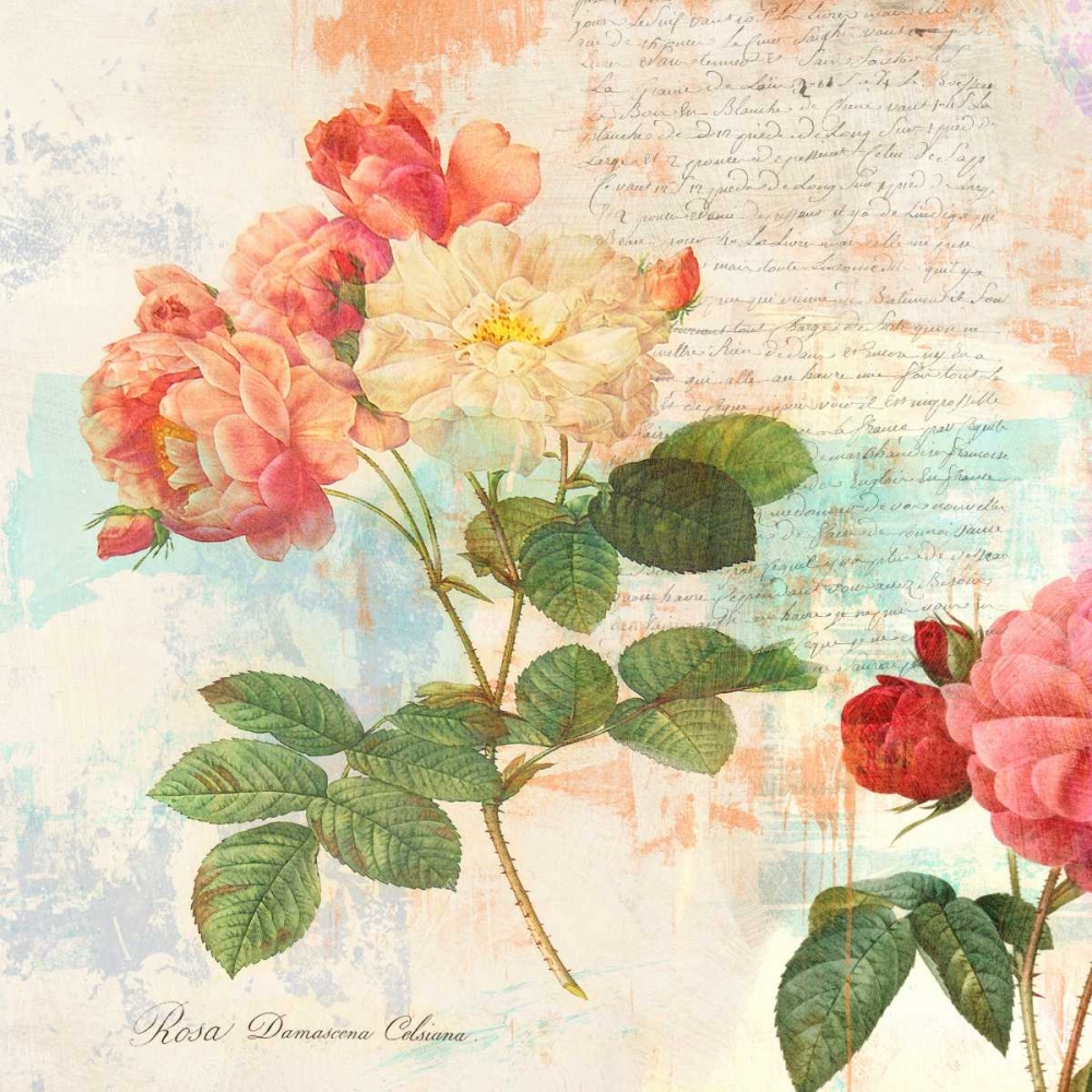 Wall Art Painting id:150125, Name: Redoutes Roses 2.0 - I , Artist: Chestier, Eric