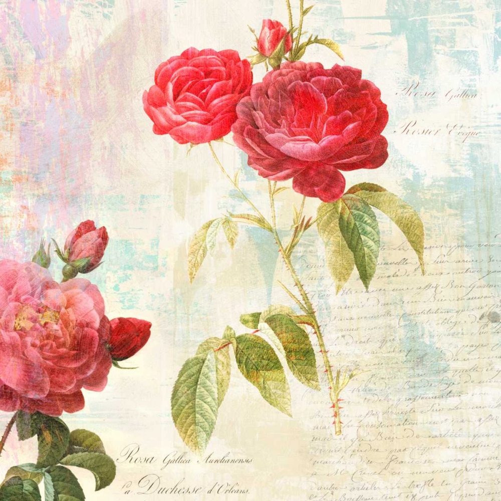 Wall Art Painting id:150126, Name: Redoutes Roses 2.0 - II , Artist: Chestier, Eric