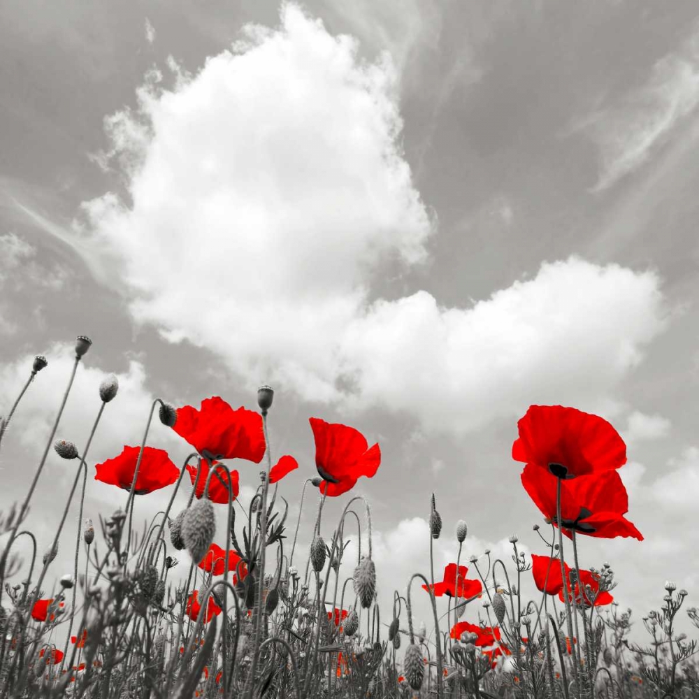 Similar wall art painting: 117773